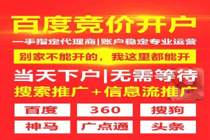 实战技巧：竞价推广案例解析与效果评估